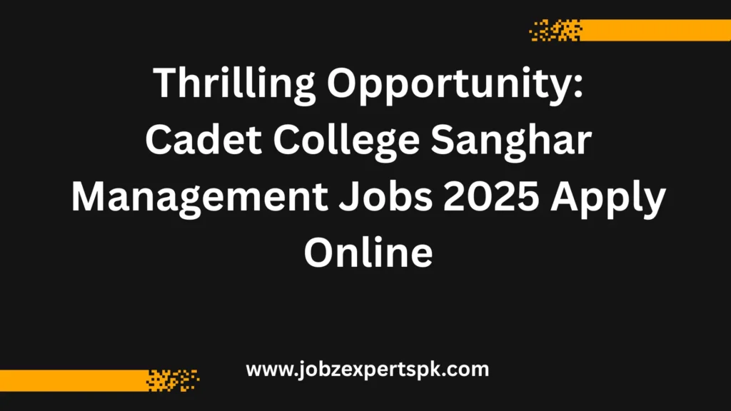 Thrilling Opportunity Cadet College Sanghar Management Jobs 2025 Apply Online