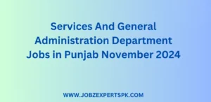 Services And General Administration Department Jobs in Punjab November 2024