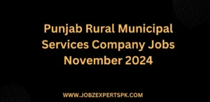 Punjab Rural Municipal Services Company Jobs November 2024
