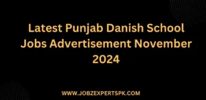 Latest Punjab Danish School Jobs Advertisement November 2024