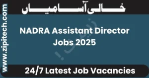 NADRA Assistant Director Jobs 2025